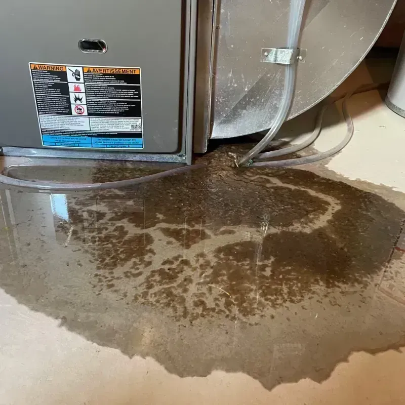 Appliance Leak Cleanup in Worden, IL